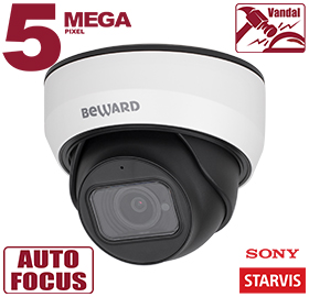 IP камера SV3212DZ