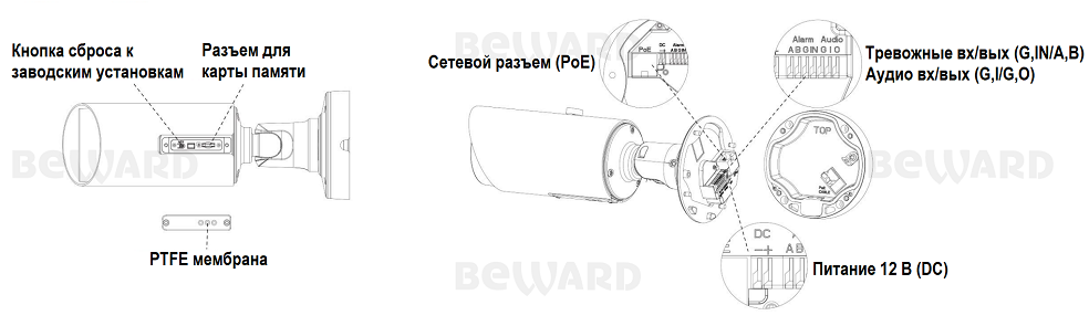 IP камера SV2018RBZ2