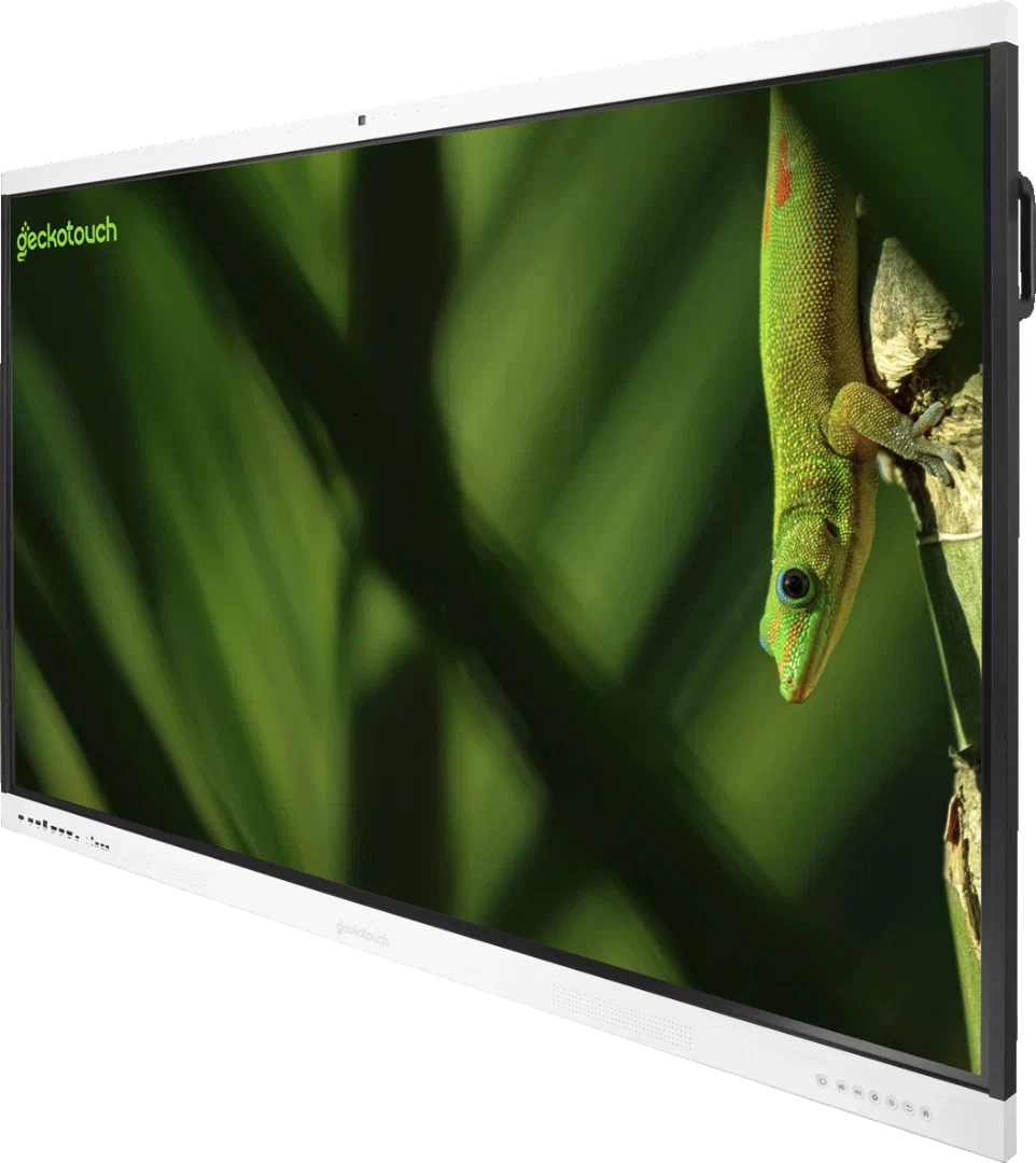 Geckotouch Interactive 65SL