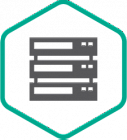 Kaspersky Security для систем хранения данных, Server Russian Edition. 1 - FileServer 1 year Base License - Лицензия