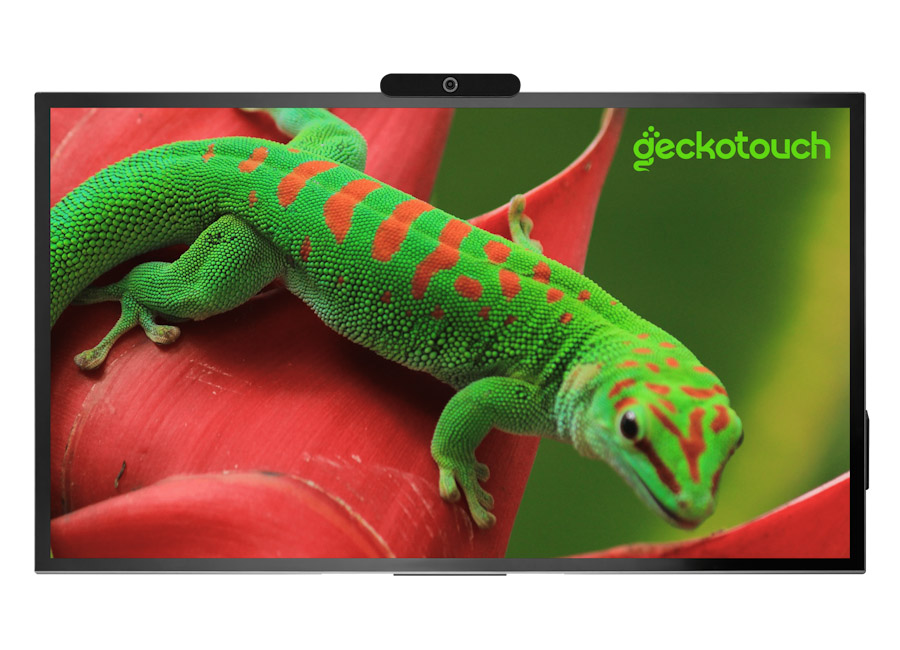 Geckotouch Interactive 65R