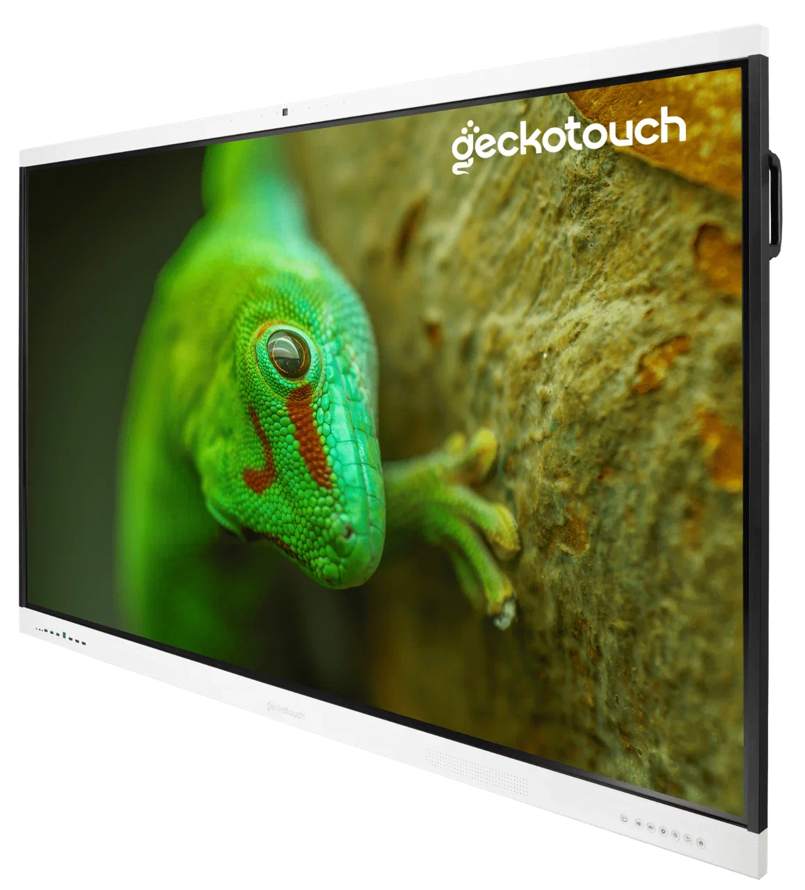 Geckotouch Interactive 65RT
