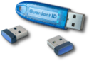 Рубинтех Контактное устройство (считыватель iButton), RDS-01 (USB)