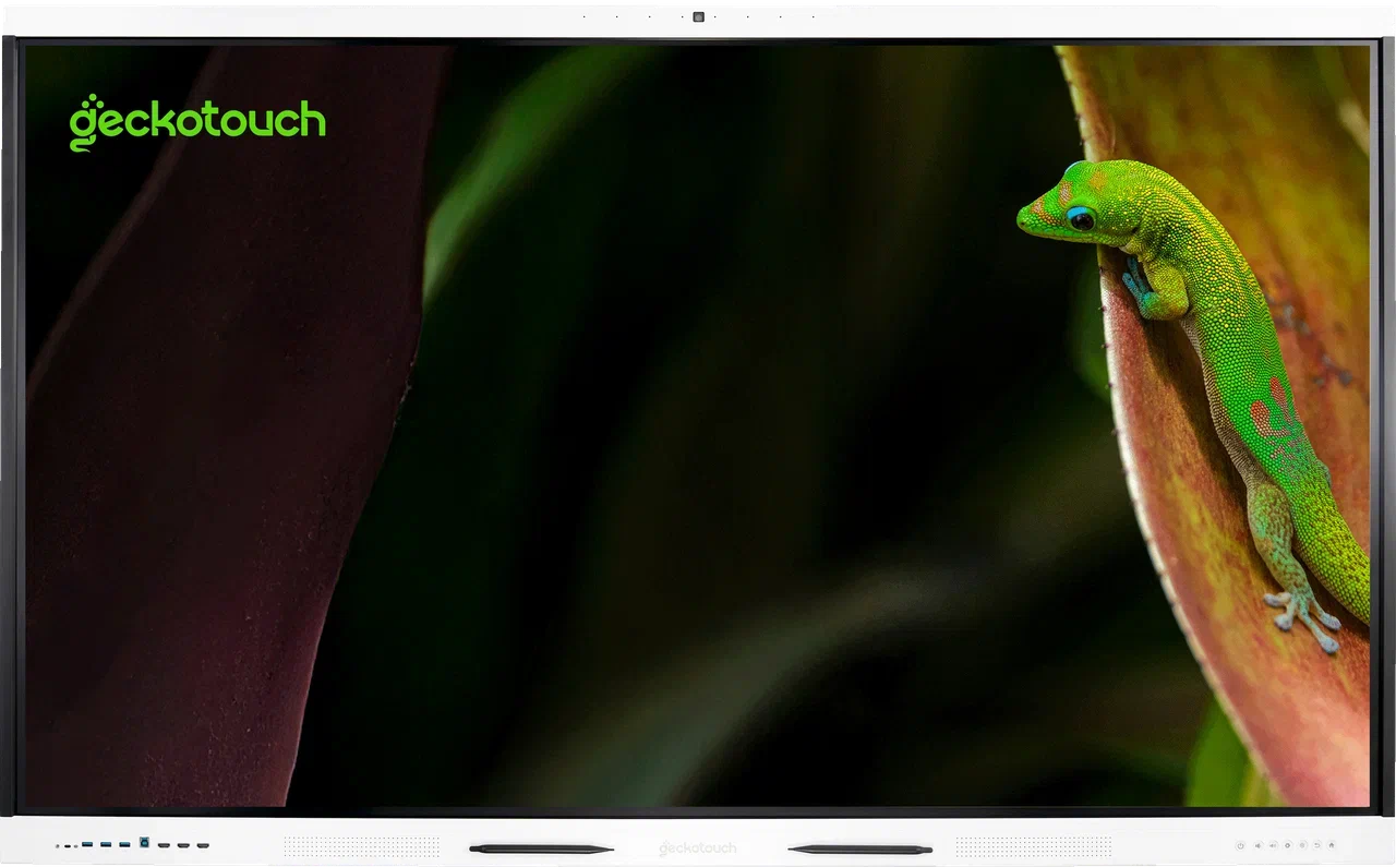 Geckotouch Interactive 65SR