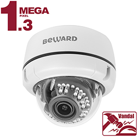 IP камера B1510DV