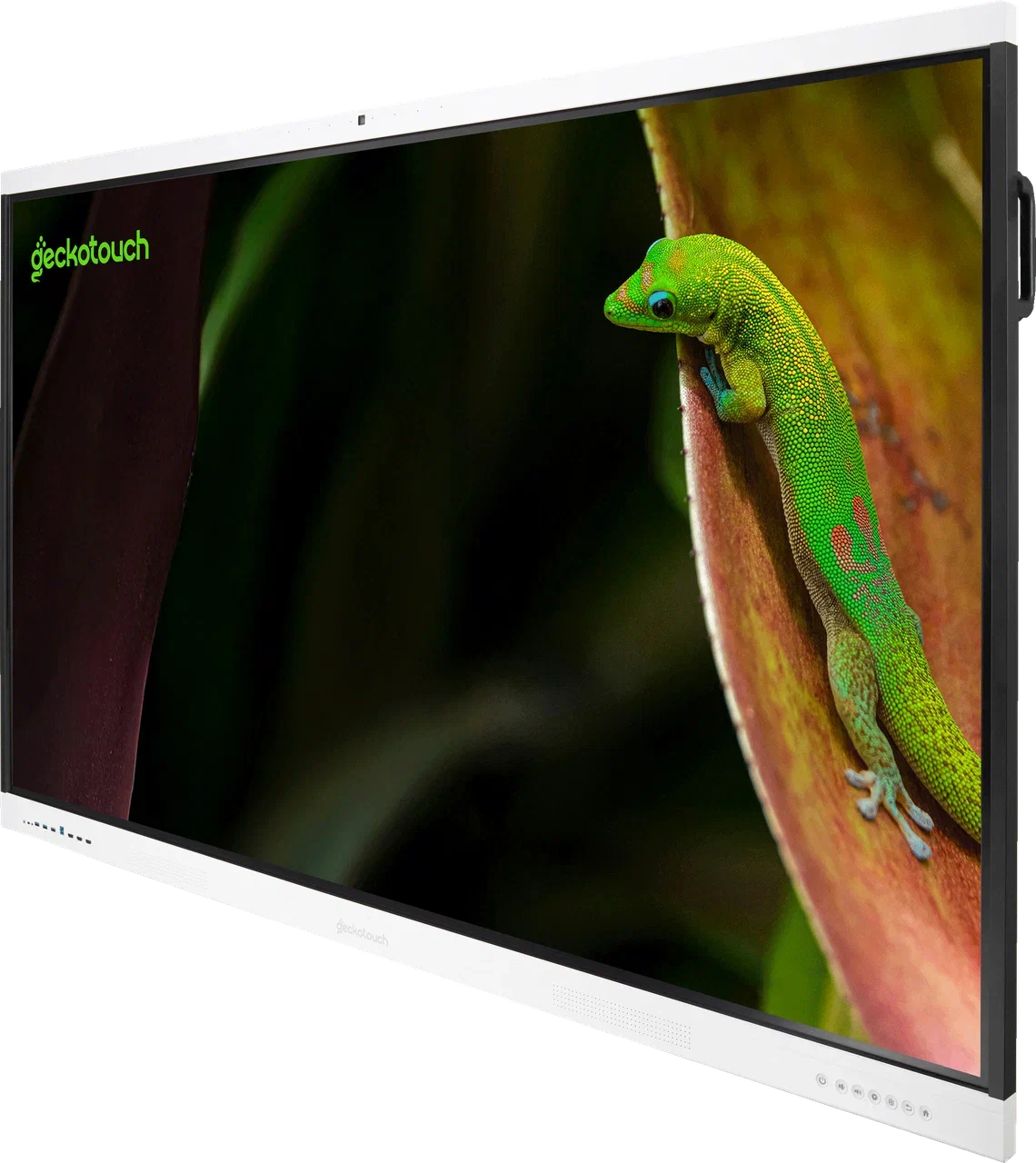 Geckotouch Interactive 65SR