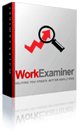 EfficientLab, LLC. EfficientLab Work Examiner Professional (лицензия)