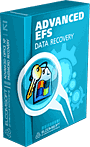 ElcomSoft Co.Ltd. ElcomSoft Advanced EFS Data Recovery (лицензия), Версия Professional