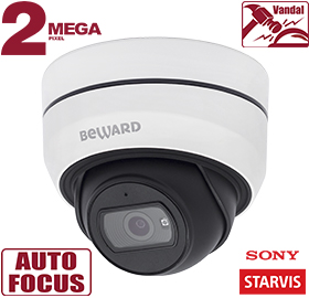IP камера SV2010DBZ
