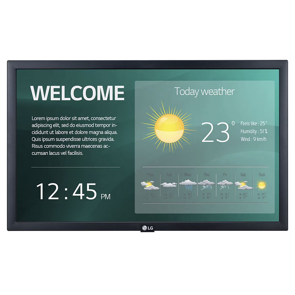 LG 22SM3G-B, Профессиональный дисплей 22"
