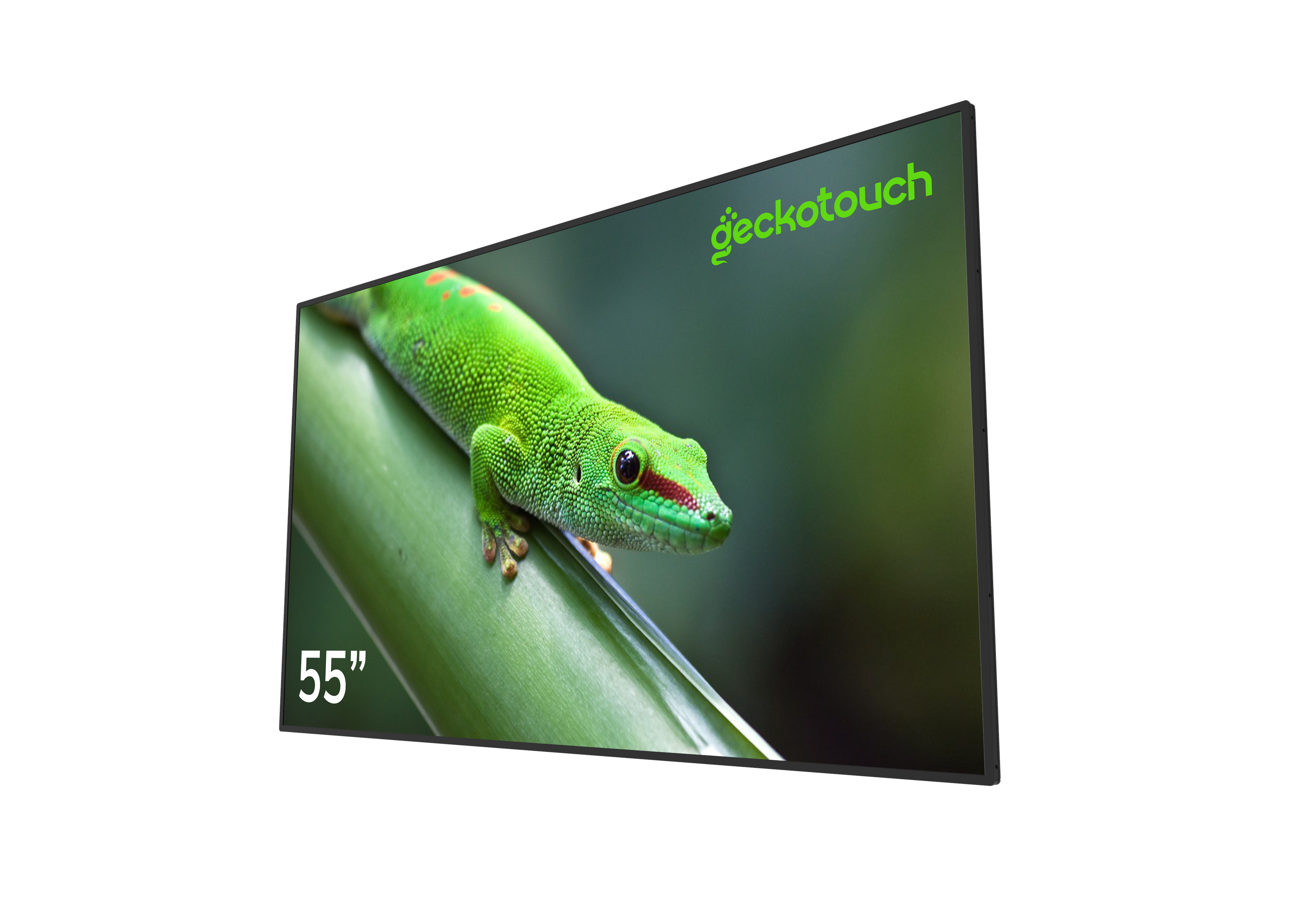 Geckotouch 55DCR