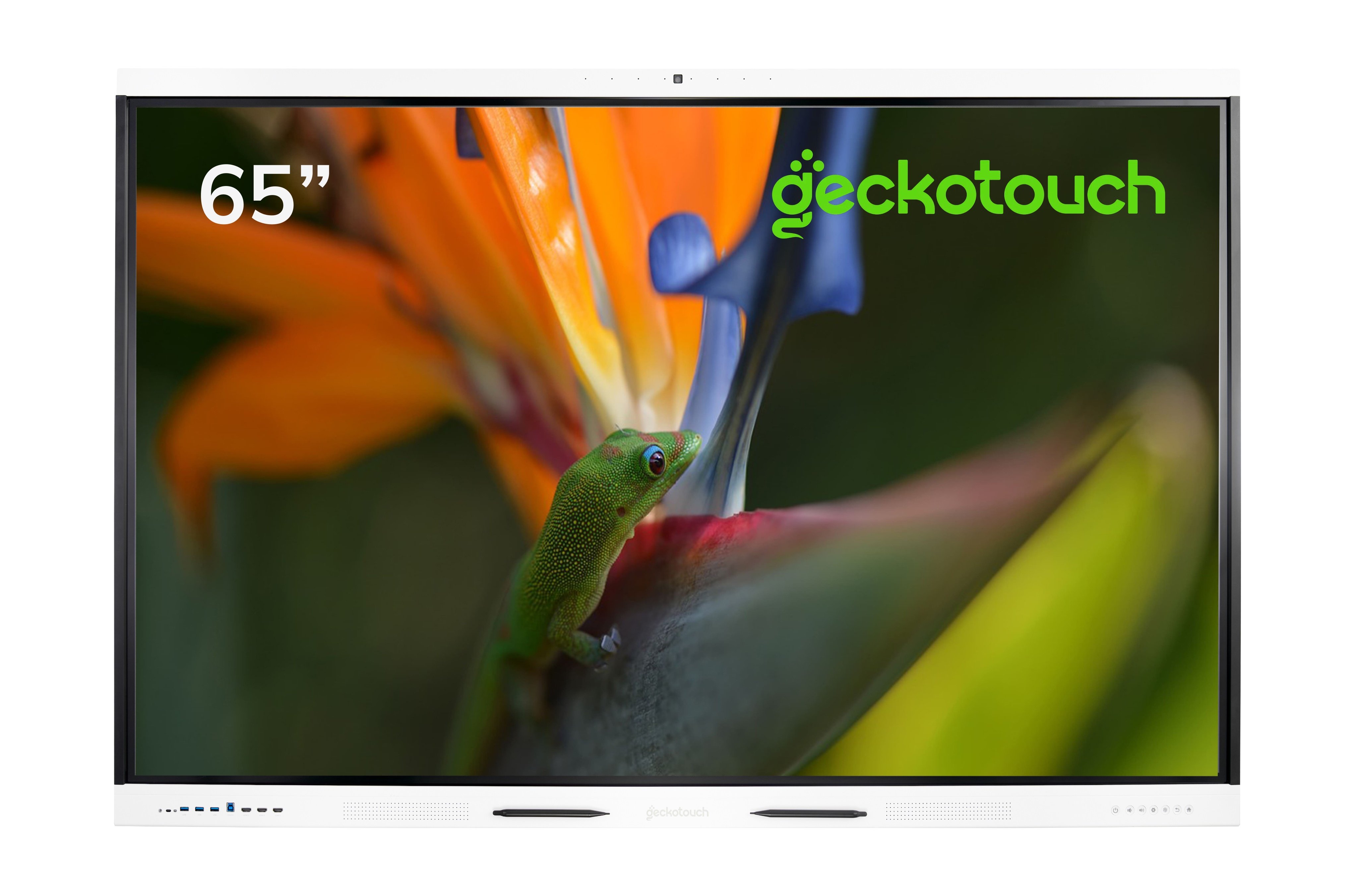 Geckotouch Interactive 65RK