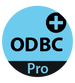 4D ODBC Professional Expansion 15