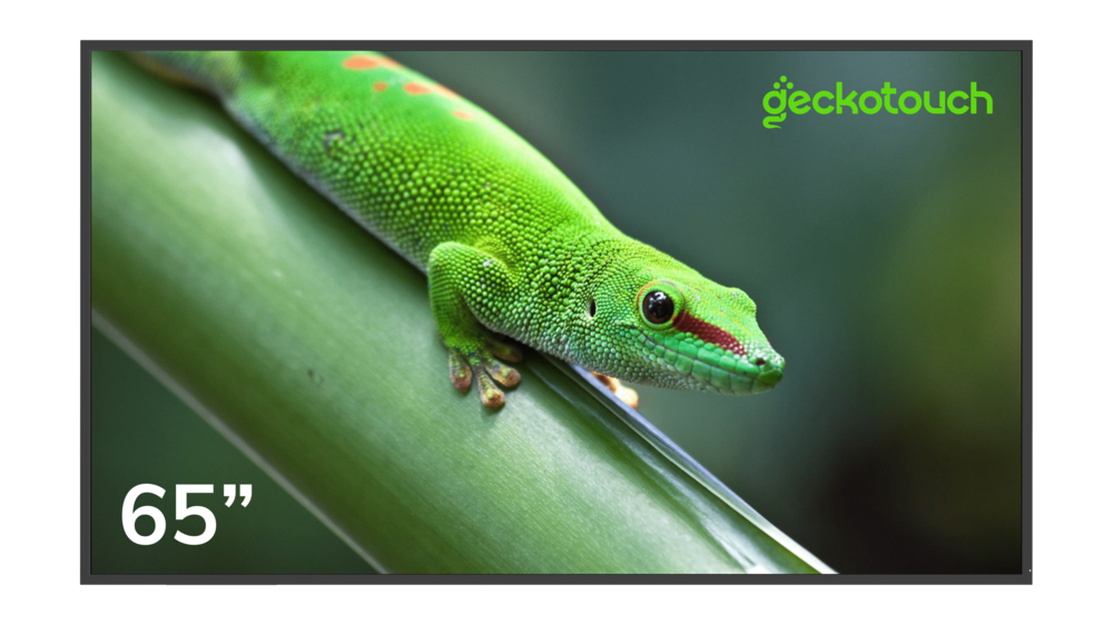 Geckotouch 65DF