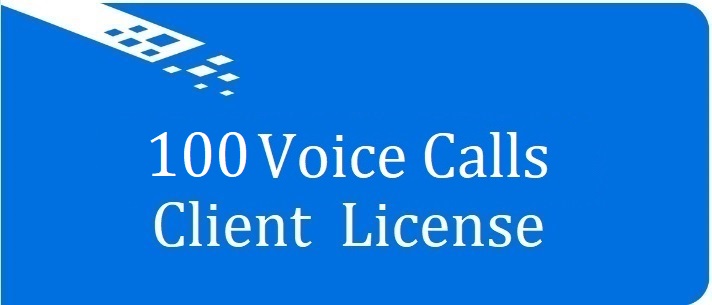 Лицензия на 100 голосовых вызовов