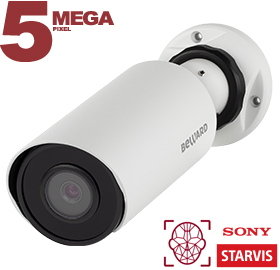 IP камера SV3218R2