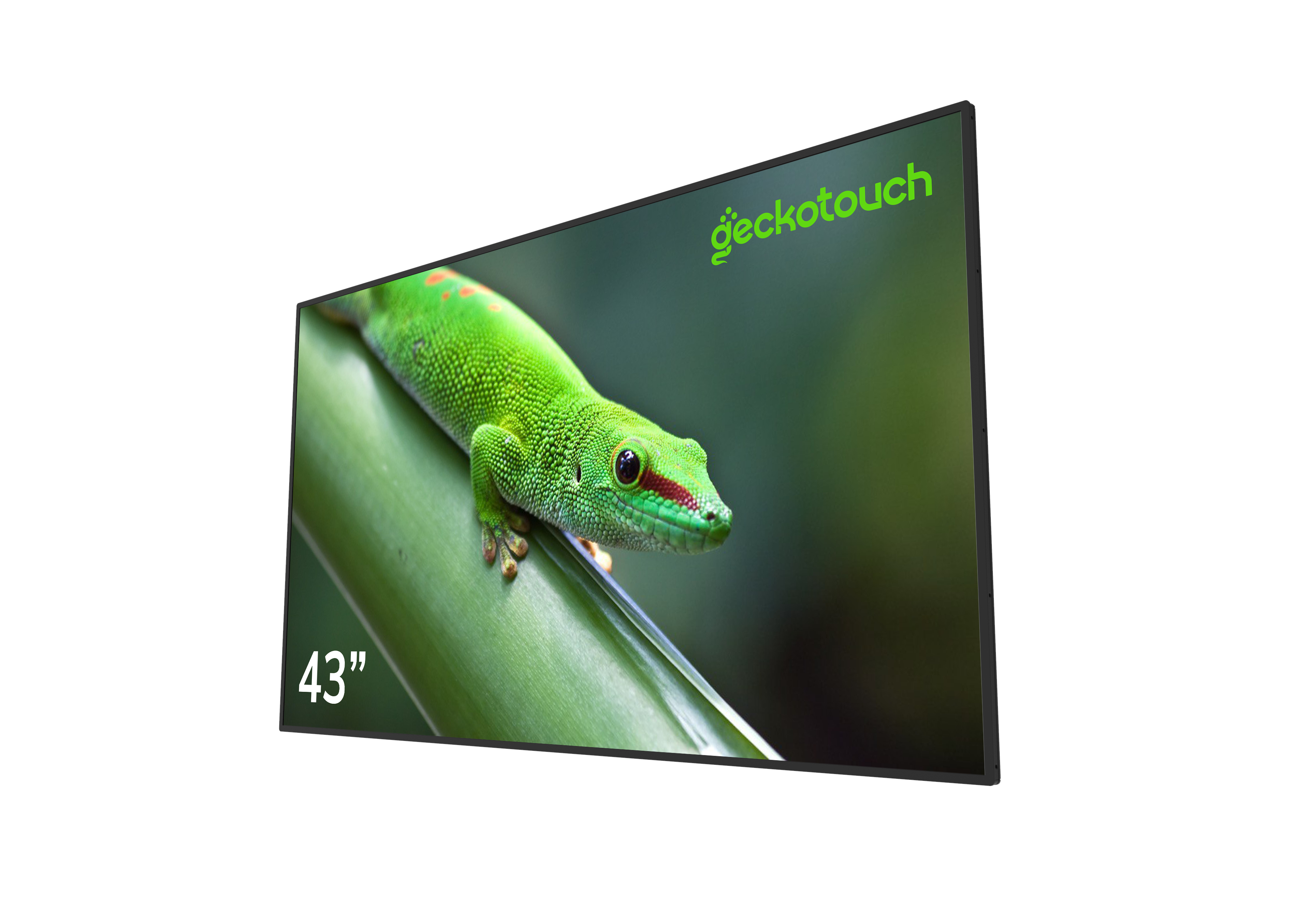 Geckotouch 43DCR