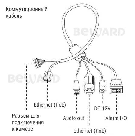 IP камера SV2018DVZ
