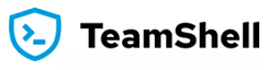 TeamShell (дополнительные 10 пользователей ежемесячно, минимальный срок 3 месяца)