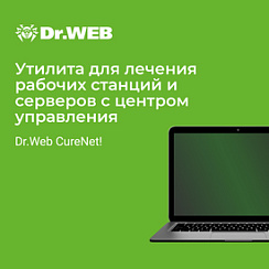 Доктор Веб Dr.Web CureNet! Неисключительное право на использование на 1 год, 250 рабочих станций