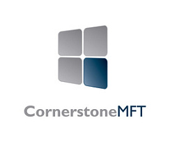 South River Technologies South River Cornerstone MFT (техподдержка Business Standard), Enterprise на 1 год